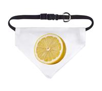 Azeeda Small 'Sliced Lemon' Dog/Cat/Pet Bandana (PD00077291)