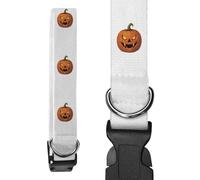 Azeeda Small 'Spooky Vampire Pumpkin Jack-O'-Lantern' Dog Collar (PR00072525)