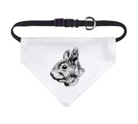 Azeeda Small 'Squirrel Portrait' Dog/Cat/Pet Bandana (PD00082307)