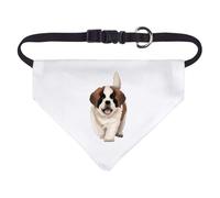 Azeeda Small 'St Bernard Puppy Dog' Dog/Cat/Pet Bandana (PD00067155)