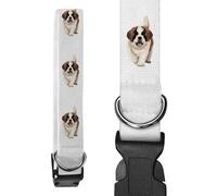 Azeeda Small 'St Bernard Puppy Dog' Dog Collar (PR00067105)