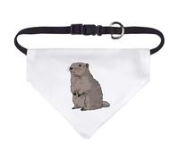 Azeeda Small 'Standing Marmot' Dog/Cat/Pet Bandana (PD00073517)
