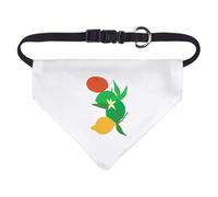 Azeeda Small 'Summer Citrus Fruits' Dog/Cat/Pet Bandana (PD00071779)