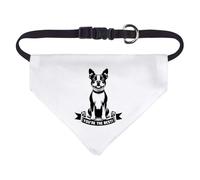 Azeeda Small 'You're The Best' Dog/Cat/Pet Bandana (PD00075999)