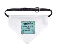 Azeeda Small 'You've Survived 100% Of Your Bad Days' Dog/Cat/Pet Bandana (PD00073165)