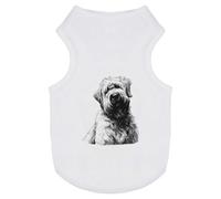 Azeeda 'Soft Coated Wheaten Terrier' Pet Dog/Cat T-Shirt, L (PT00172019)