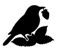 Azeeda 'Song Thrush & Strawberry' Reusable Stencil - Durable Decorative Template for Painting and Spraying on Walls, Tiles, Wood, Fabric & Craft Projects - S (A6) (WS00068295)