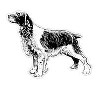 Azeeda 'Spaniel Breed Dog' Clear Premium Vinyl Decal Stickers - Waterproof, Durable & Easy to Apply - for Car Bumpers, Windows, Bins & More - XXL (720mm) (DC00164435)
