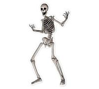 Azeeda 'Spooky Skeleton' White Premium Vinyl Decal Sticker - Waterproof, Durable & Easy to Apply - for Car Bumpers, Windows, Bins & More - Large (210mm) (DW00056515)