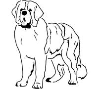 Azeeda 'St Bernard Dog Standing' Reusable Stencil - Durable Decorative Template for Painting and Spraying on Walls, Tiles, Wood, Fabric & Craft Projects - XL (A3) (WS00080053)