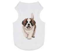 Azeeda 'St Bernard Puppy Dog' Pet Dog/Cat T-Shirt, XS (PT00157648)
