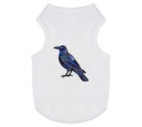 Azeeda 'Stained Glass Raven' Pet Dog/Cat T-Shirt, M (PT00185342)