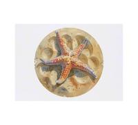 Azeeda 'Starfish on Sand' Temporary Tattoo - A6 (TO00107423)