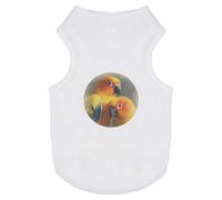 Azeeda 'Sun Conure Parrot Couple' Pet Dog/Cat T-Shirt, M (PT00183930)