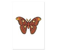 Azeeda Super A1 'Atlas Moth' Wall Poster/Print (PP00340198)
