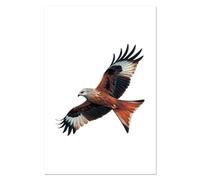 Azeeda Super A1 'Red Kite Bird Of Prey' Wall Poster/Print (PP00336763)