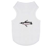 Azeeda 'Swimming African Penguin' Pet Dog/Cat T-Shirt, S (PT00153433)