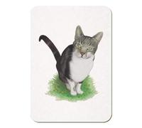 Azeeda 'Tabby Cat' Rectangular Fridge Magnet - Decorative Refrigerator & Whiteboard Magnet for Home, Kitchen or Office - 70mm x 49mm (FM00044912)