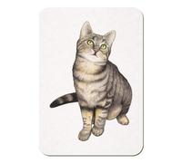 Azeeda 'Tabby Cat' Rectangular Fridge Magnet - Decorative Refrigerator & Whiteboard Magnet for Home, Kitchen or Office - 70mm x 49mm (FM00043260)