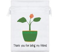 Azeeda 'Thanks For Being A Friend' Satin Gift Bag - 20cm (SB00159050)