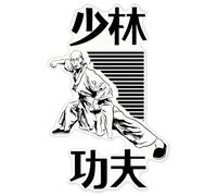 Azeeda 'The Way of Shaolin' Clear Premium Vinyl Decal Stickers - Waterproof, Durable & Easy to Apply - for Car Bumpers, Windows, Bins & More - XXL (720mm) (DC00161241)