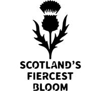 Azeeda 'Thistle Scotland's Fiercest Bloom' Reusable Stencil - Durable Decorative Template for Painting and Spraying on Walls, Tiles, Wood, Fabric & Craft Projects - L (A4) (WS00061855)