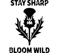 Azeeda 'Thistles Stay Sharp Bloom Wild' Reusable Stencil - Durable Decorative Template for Painting and Spraying on Walls, Tiles, Wood, Fabric & Craft Projects - S (A6) (WS00070757)