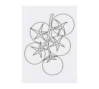 Azeeda 'Tomato on a vine Outline' Temporary Tattoo - A6 (TO00096707)