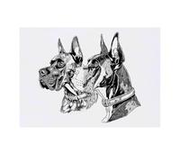 Azeeda 'Two Great Dane Dogs Portrait' Temporary Tattoo - Water Resistant, Skin-Safe, Non-Toxic Transfer (TO00093617)