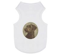 Azeeda 'Vintage Irish Wolfhound Portrait' Pet Dog/Cat T-Shirt, L (PT00144547)