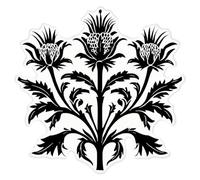 Azeeda 'Vintage Scottish Thistle ' Clear Premium Vinyl Decal Stickers - Waterproof, Durable & Easy to Apply - for Car Bumpers, Windows, Bins & More - XL (460mm) (DC00140487)