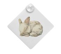 Azeeda 'Vintage Sleeping Baby Bunny' Suction Cup Car Window Sign (CG00036926)