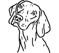 Azeeda 'Vizsla Dog' Reusable Stencil - Durable Decorative Template for Painting and Spraying on Walls, Tiles, Wood, Fabric & Craft Projects - S (A6) (WS00065824)