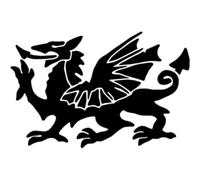 Azeeda 'Welsh Dragon' Reusable Stencil - Durable Decorative Template for Painting and Spraying on Walls, Tiles, Wood, Fabric & Craft Projects - S (A6) (WS00065968)