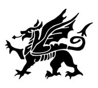 Azeeda 'Welsh Dragon' Reusable Stencil - Durable Decorative Template for Painting and Spraying on Walls, Tiles, Wood, Fabric & Craft Projects - S (A6) (WS00064240)
