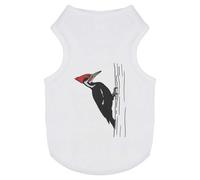 Azeeda 'Woodpecker On Tree' Pet Dog/Cat T-Shirt, L (PT00179159)