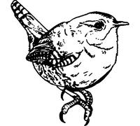 Azeeda 'Wren Bird' Unmounted Rubber Stamp - A8 (RS00027452)