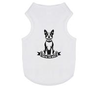 Azeeda 'You're The Best' Pet Dog/Cat T-Shirt, M (PT00175494)