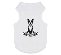 Azeeda 'You're The Best' Pet Dog/Cat T-Shirt, S (PT00175493)