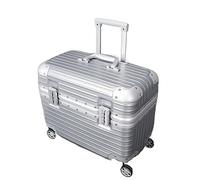AZHKJKZH Suitcase with Wheels Luggage PC+ABS Durable Hardside Suitcase with Double Spinner Wheels, Cosmetic Travel Luggage(Silver,18in)
