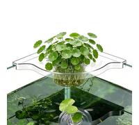 Aznever Fish Tank Plant Holder | Floating Waterproof Adjustable Clear Rack | Aquarium Landscape Decoration | for Planting Corner Bookshelf Home House Living Room Bedroom