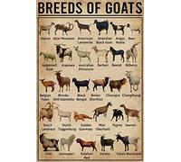 AZOLID Vintage Tin Sign Funny Breeds Of Goat Tin Sign Wall Art Metal Poster for Home Bar Cafe Garage Bathroom 30x20CM
