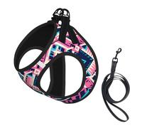 Aztec Fiesta No Pull Dog Harness and Leash Set, Cute Reflective Adjustable Vest for Small Dogs,Breathable Mesh Puppy Harness for Walking Hiking,Medium
