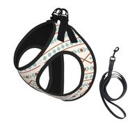 Aztec Shapes Pattern Rust Teal Cream No Pull Dog Harness and Leash Set, Cute Reflective Adjustable Vest for Small Dogs,Breathable Mesh Puppy Harness for Walking Hiking,Medium