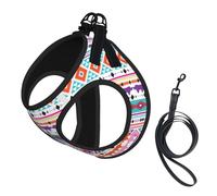 Aztec South West Pattern No Pull Dog Harness and Leash Set, Cute Reflective Adjustable Vest for Small Dogs,Breathable Mesh Puppy Harness for Walking Hiking,Medium