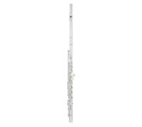 Azumi AZ-Z1 E Flute