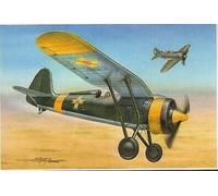 Azur 100-A115 - 1/72 PZL P.11c "Foreign Service" - New