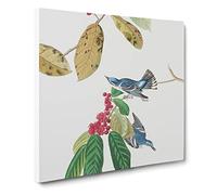 Azure Warbler Birds by John James Audubon Canvas Print | Gallery Wrapped 30mm Frame Wall Art | 14x14 inches | Ready to Hang | Modern Bird Picture | Living Room Bedroom Lounge Office