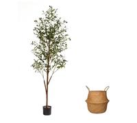 AzureLeap 6Ft Artificial Olive Tree with Moss & Basket - Indoor Tall Faux Olive Tree in Planter, Large Fake Olive Silk Tree with Realistic Branches and Fruits for Home Decor, Office, Living Room