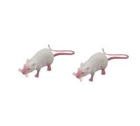 AzurePure 2pcs Mouse Prank Mice Realistic Rat Fake Toy Halloween Rats Plastic Simulation Lifelike Joke Trick Decor Prop Cat cat toys(A2 black)